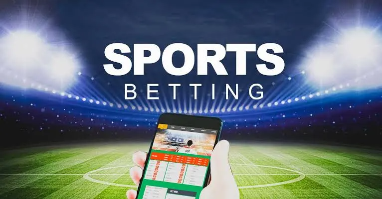 Top Betting Platforms in South Africa – Which Bookmakers Dominate the Market?